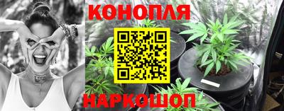соль ск Новокубанск